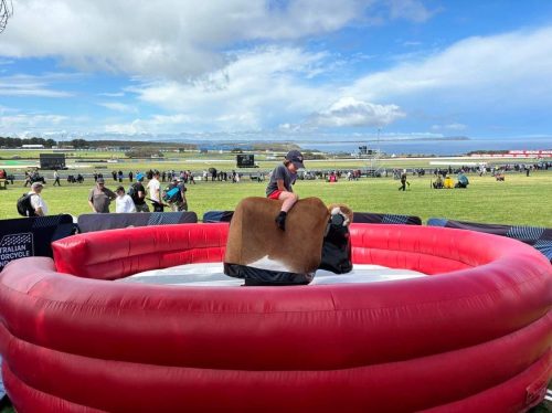 Mechanical Rodeo Bull Ride