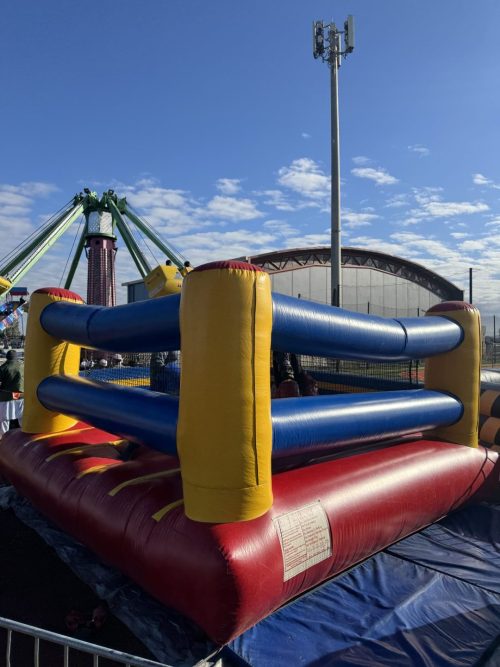 Bouncy Boxing Inflatable Game