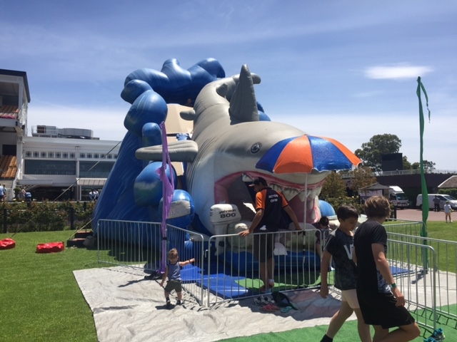 Shark Slide