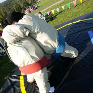 Sumo Wrestling